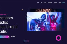 portfolio detail original