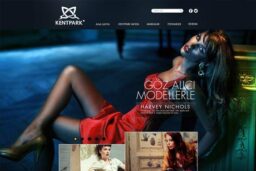 web dizajn portfolio